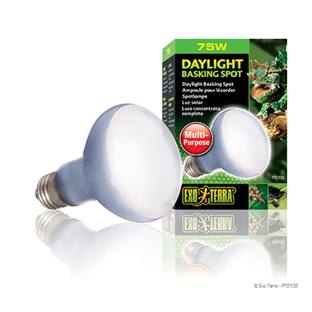 Exoterra Daylight Basking Spot 75w R20 E27