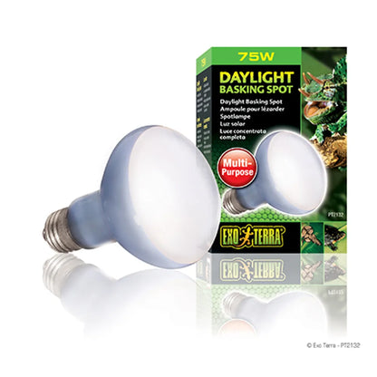 Exoterra Daylight Basking Spot 75w R20 E27