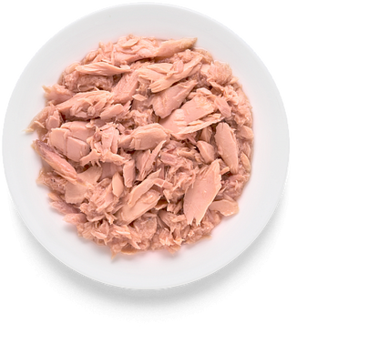 Grandorf Cat Tuna Fillet 70g