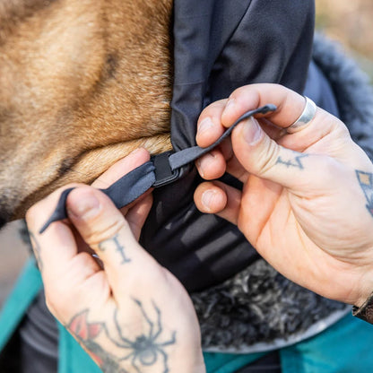 HuppuPomppa koiran kauluri, Graphite