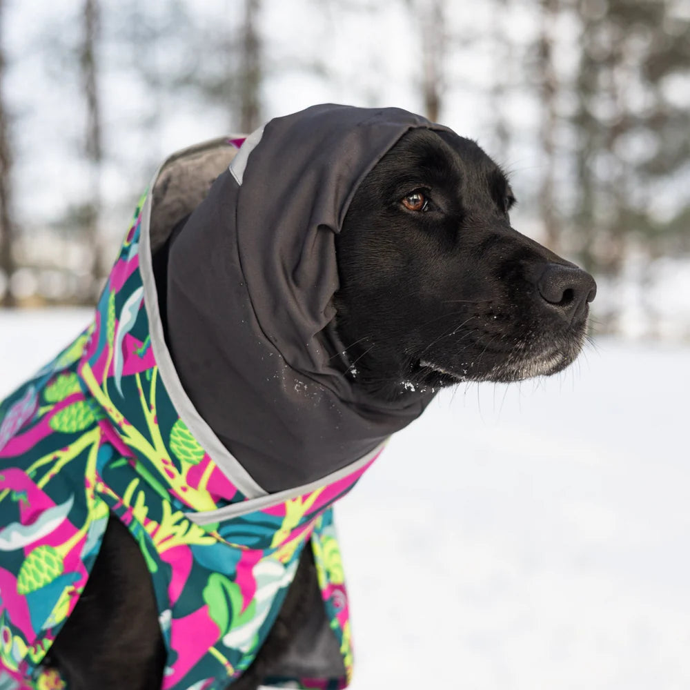 HuppuPomppa koiran kauluri, Graphite