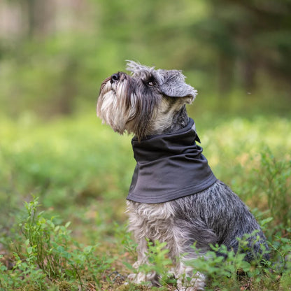 HuppuPomppa koiran kauluri, Graphite