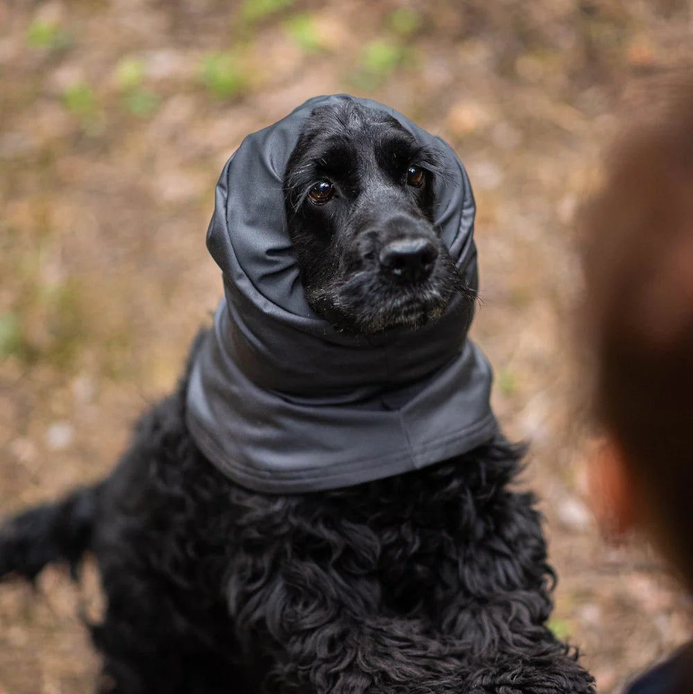 HuppuPomppa koiran kauluri, Graphite