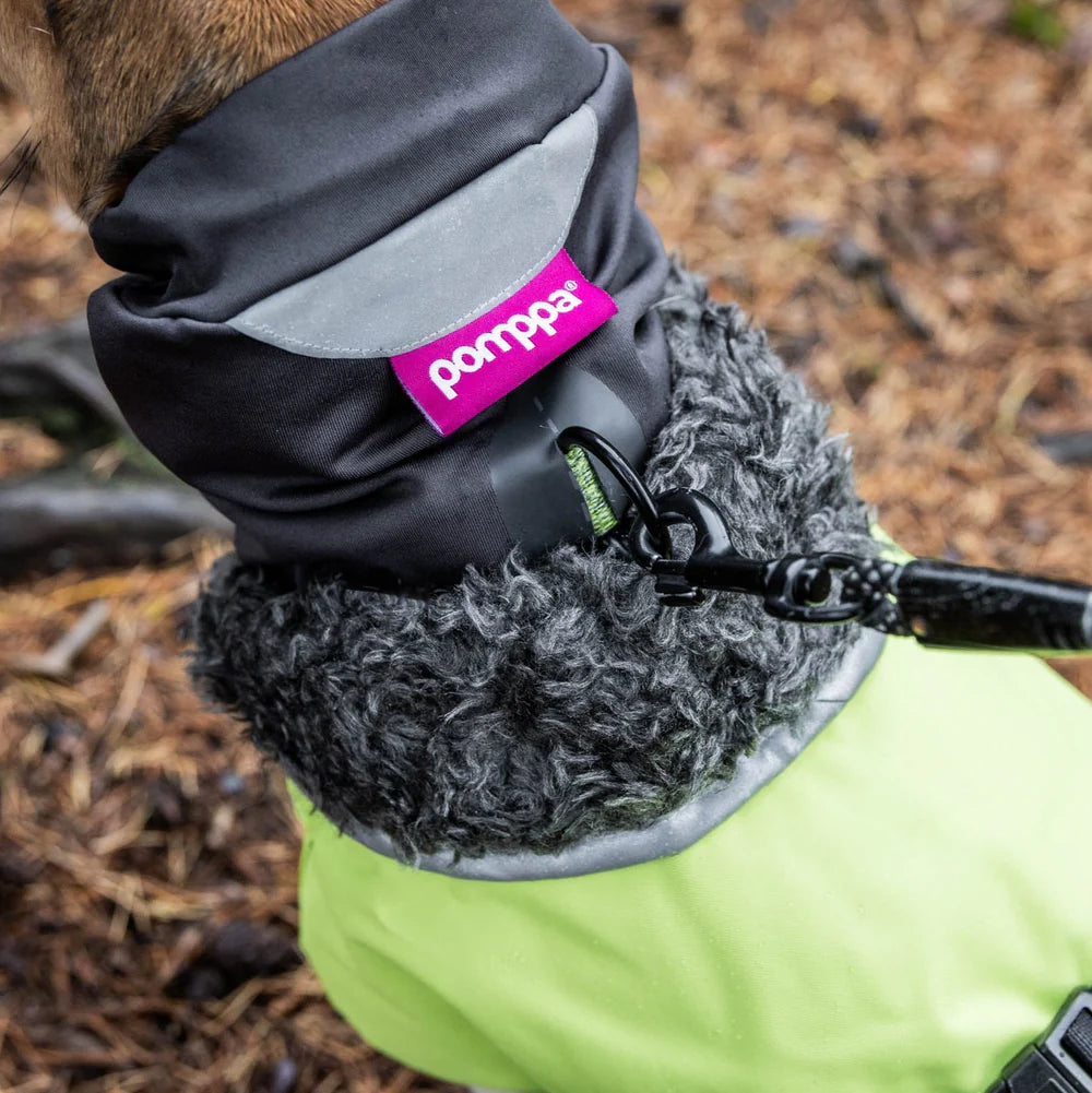 HuppuPomppa koiran kauluri, Graphite