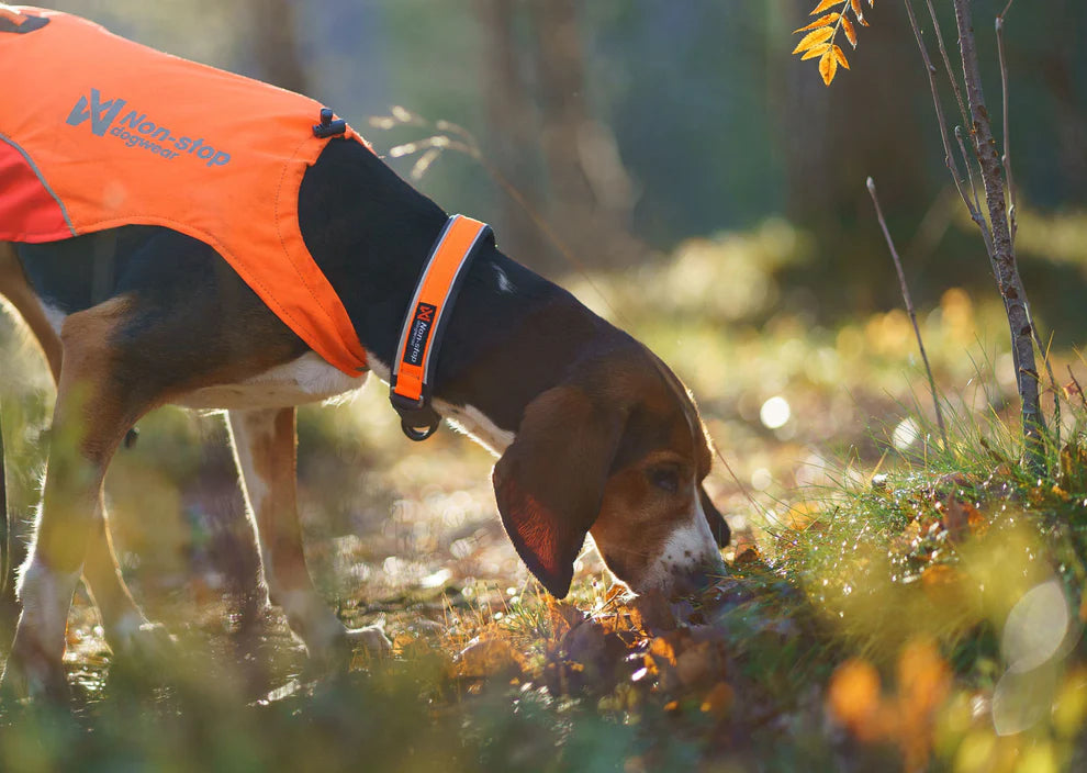 Non-Stop Protector collar, turvapanta koiralle