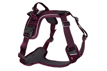 Non-stop Ramble Harness - Purple