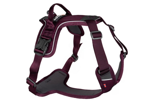 Non-stop Ramble Harness - Purple