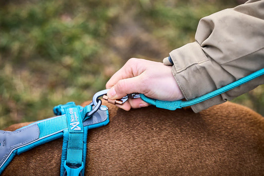 Non-Stop Trekking rope leash - talutushihna, sinivihreä