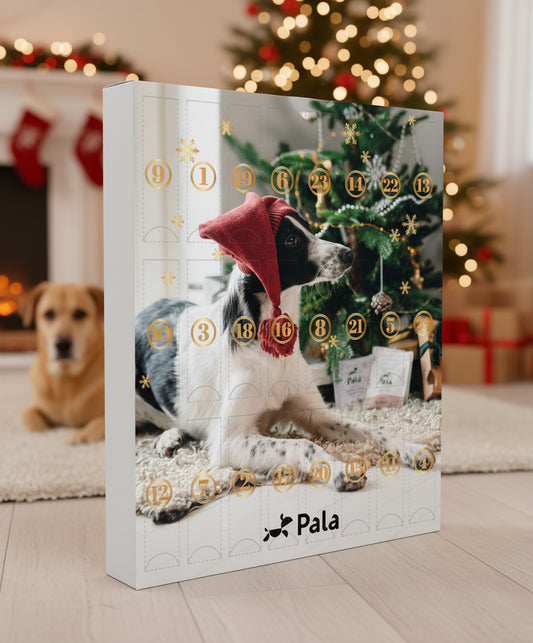 Pala koirien joulukalenteri 240g