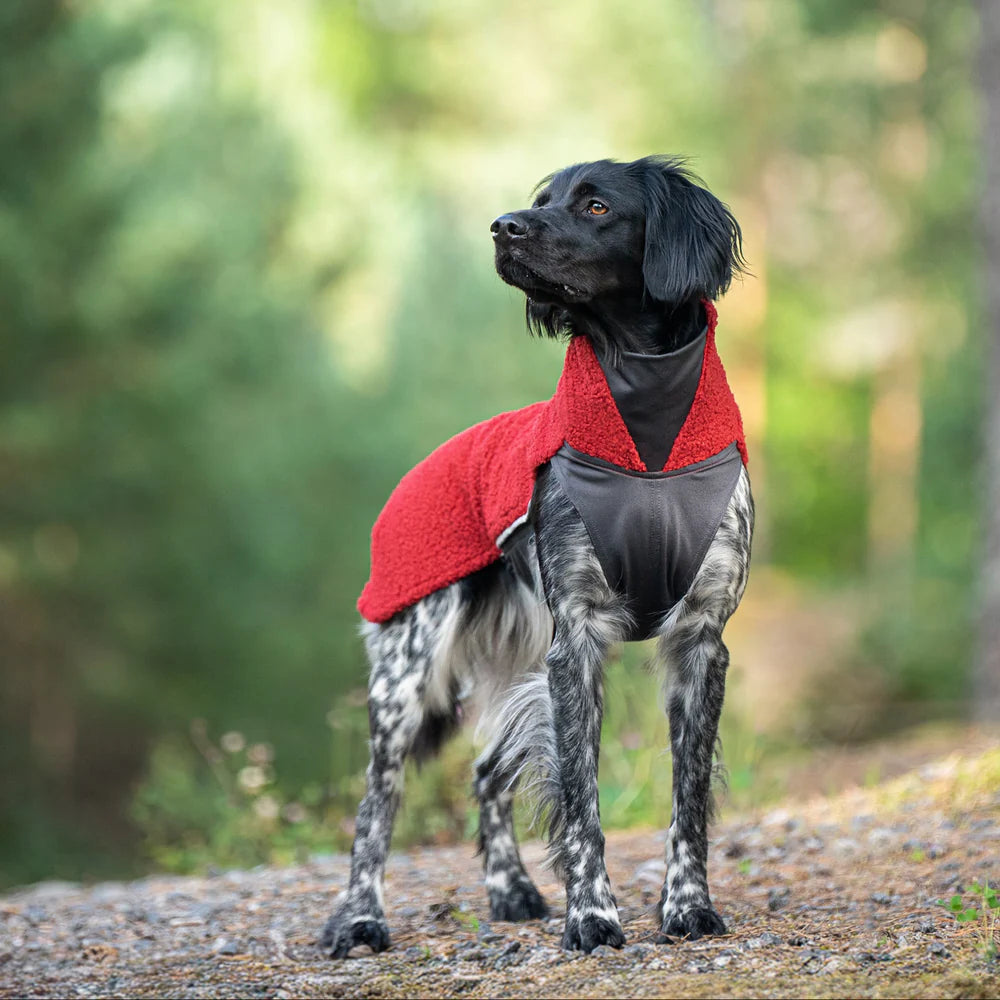 PolarPomppa Rowanberry