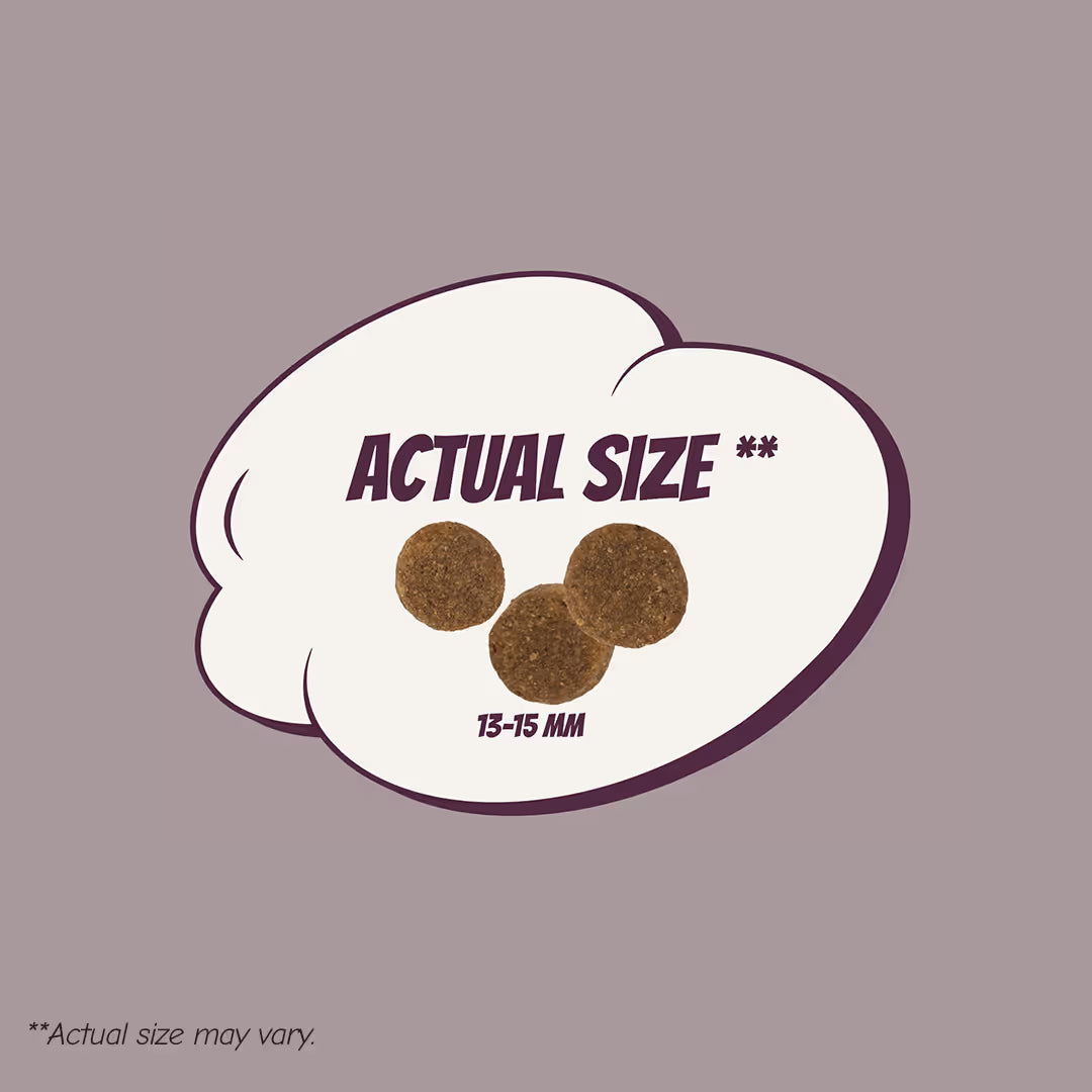 POW! Dog Adult Ligh/Sterilized Pork