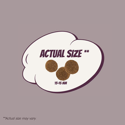 POW! Dog Adult Ligh/Sterilized Pork