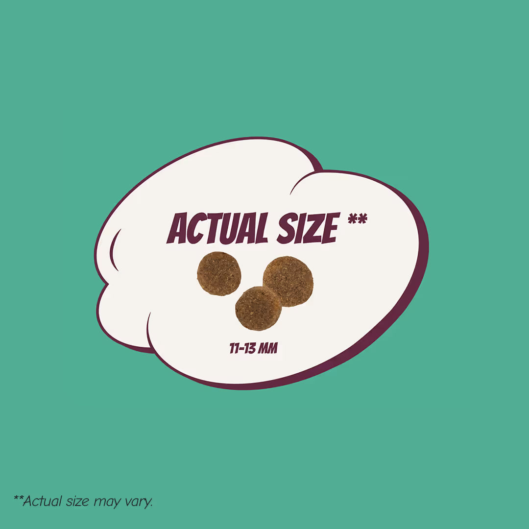 POW! Dog Adult Lamb&Rice