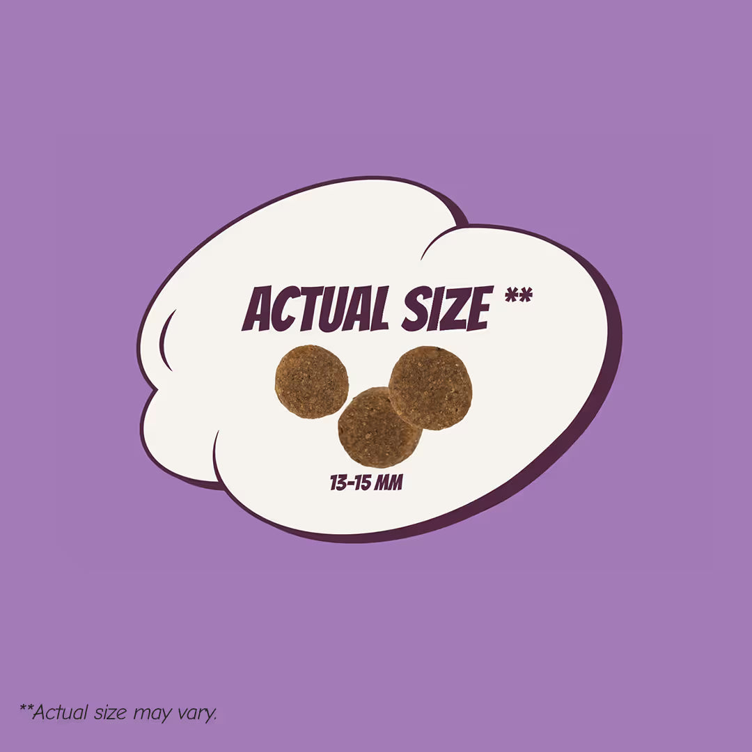 POW! Dog Adult L/XL Pork