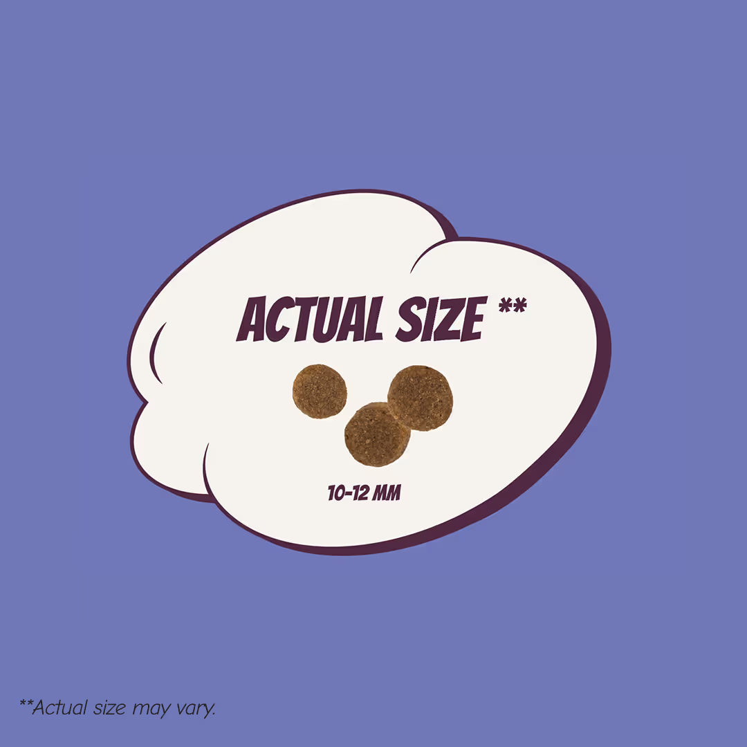 POW! Dog Puppy L/XL Pork