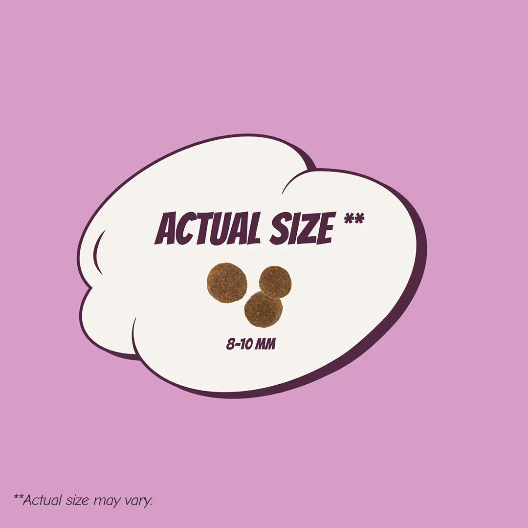 POW! Dog Puppy S/M Pork