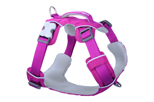 Red Dingo Sport Harness - pehmustettu valjas aktiivisille koirille