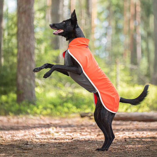 SporttiPomppa Habanero