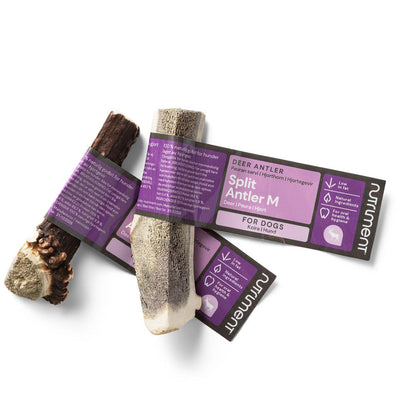 RAUH Split Antler M - halkaistu peuran sarvipala