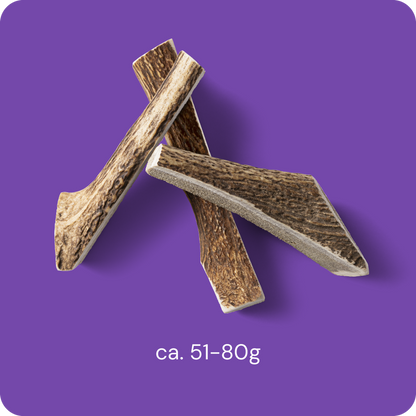RAUH Split Antler M - halkaistu peuran sarvipala
