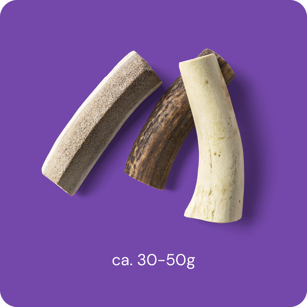 RAUH Split Antler S - halkaistu peuran sarvipala