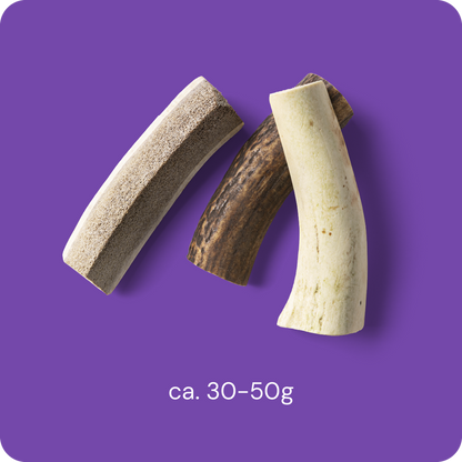 RAUH Split Antler S - halkaistu peuran sarvipala