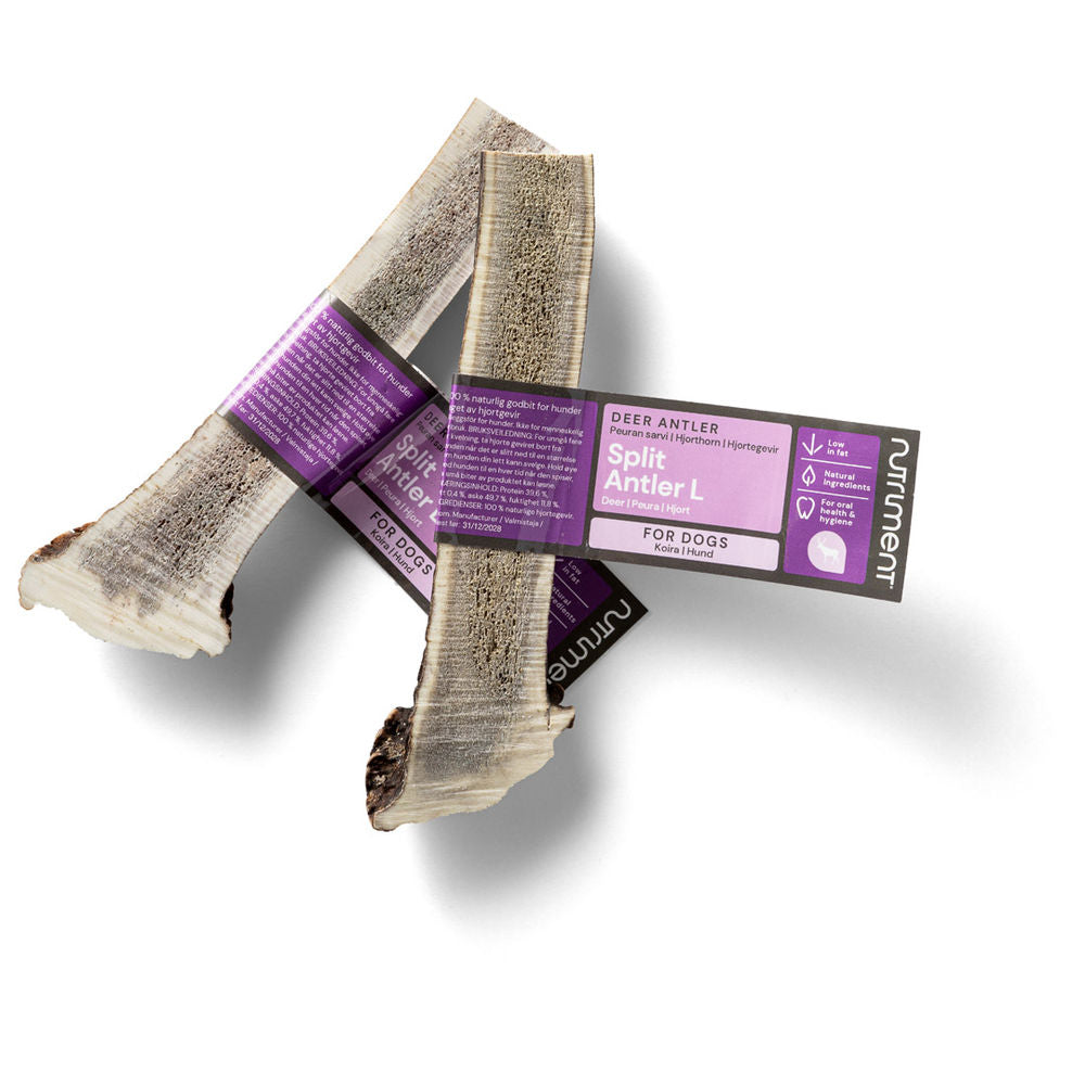 RAUH Split Antler L - halkaistu peuran sarvipala