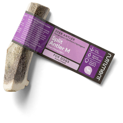 RAUH Split Antler M - halkaistu peuran sarvipala