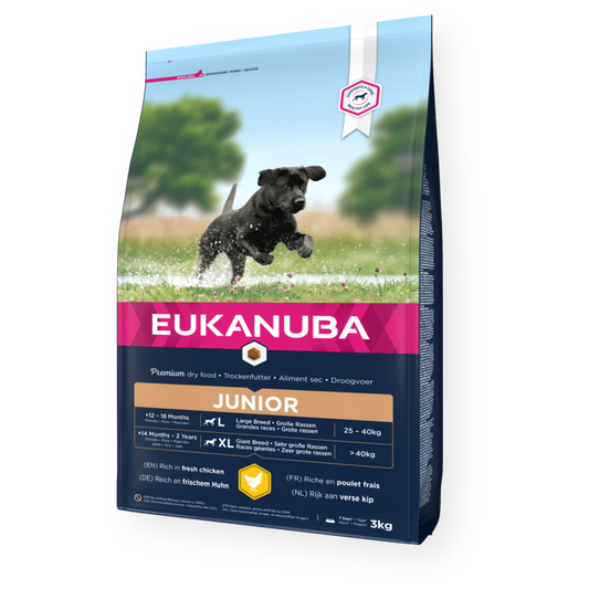 Eukanuba Junior Large Breed Chicken