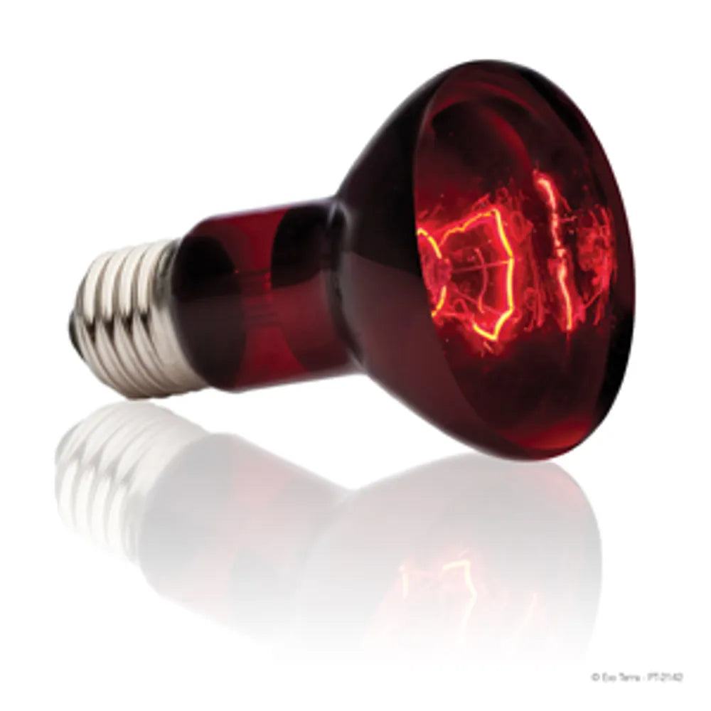 Exo Terra InfraRed Basking Spot 75W lämpölamppu