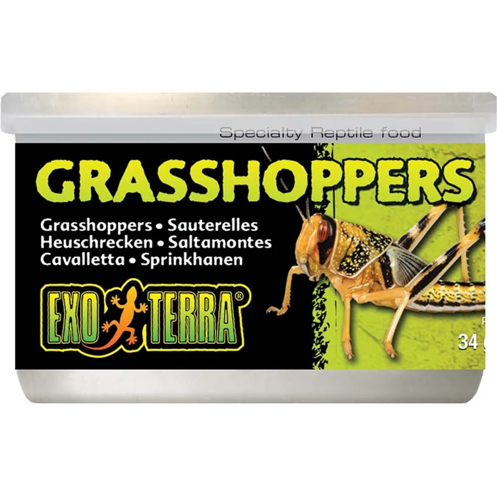 Exo-Terra Grasshoppers, sirkkasäilyke 34g