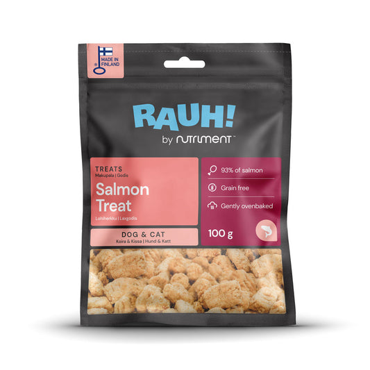 RAUH Salmon Treat - Lohiherkku, 100g