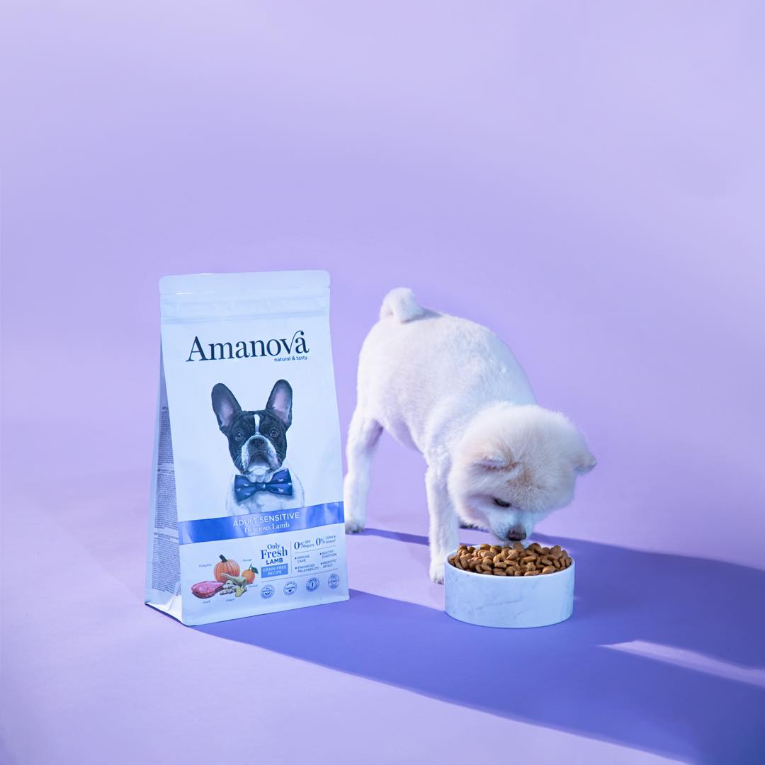 Amanova Dog Adult Sensitive lammas & kurpitsa