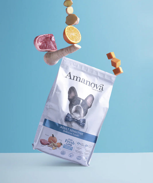 Amanova Dog Adult Sensitive lammas & kurpitsa