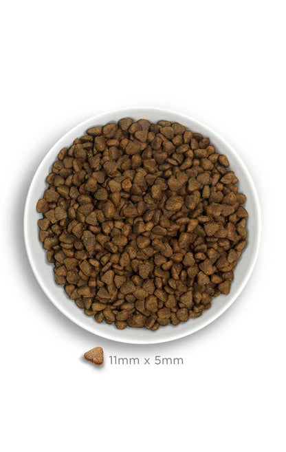 Amanova Dog Mini Digestive kani & kurpitsa