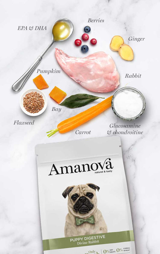Amanova Dog Puppy Digestive kani & kurpitsa