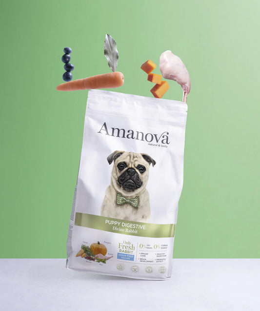 Amanova Dog Puppy Digestive kani & kurpitsa