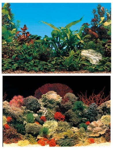 Kaksipuolinen akvaarion taustakuva 120x50cm