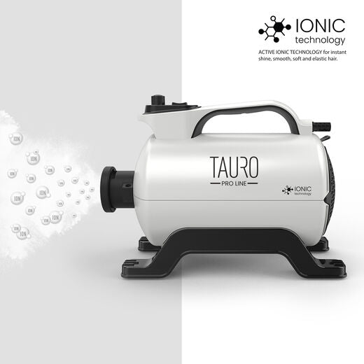 Tauro Pro Line Kuivain integroidulla ioniteknologialla