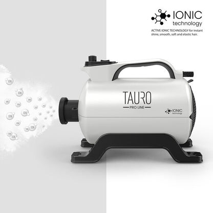 Tauro Pro Line Kuivain integroidulla ioniteknologialla