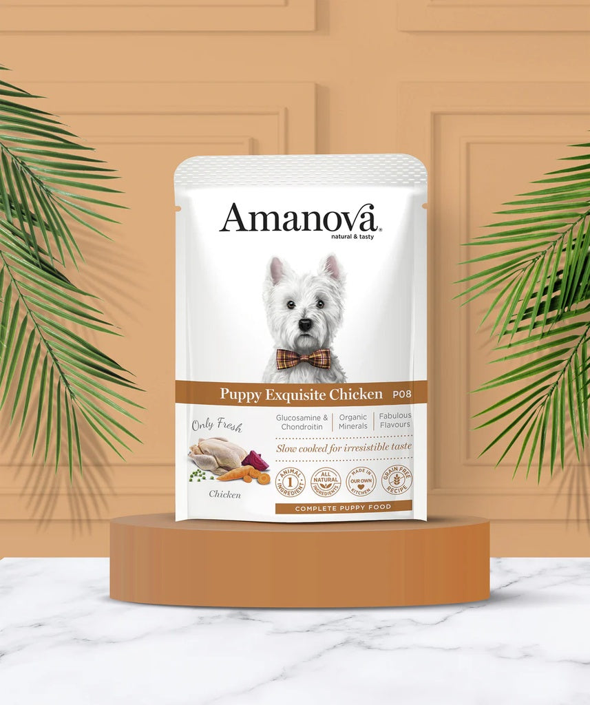 Amanova Dog Puppy Exquisite Kana 100g