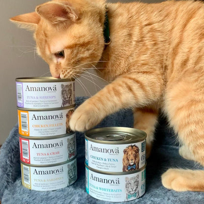 Amanova Cat Adult Tonnikala & sardiini hyytelössä 70g purkki