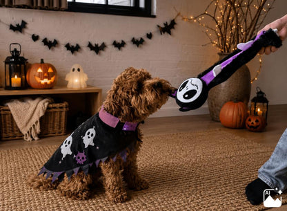 Companion Halloween koiran riepulelu, lepakko