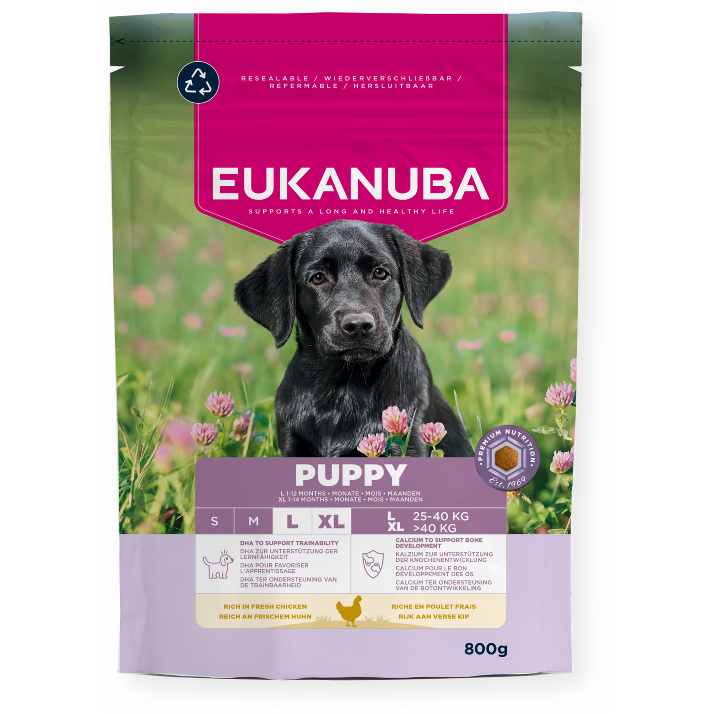 Eukanuba Puppy Large Breed Fresh Chicken