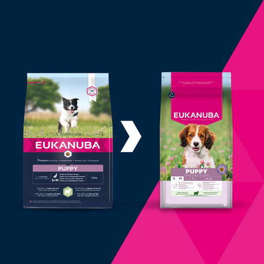 Eukanuba Puppy Small/Medium Breed Lamb&Rice