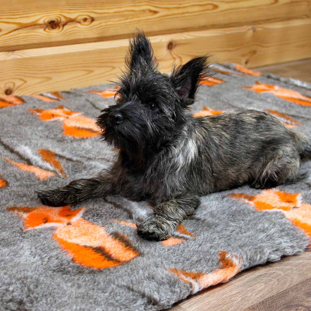 Foxy Fur makuualusta, Harmaa Kettu