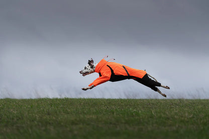 Non-stop Fjord Overall Raincoat - koiran sadehaalari