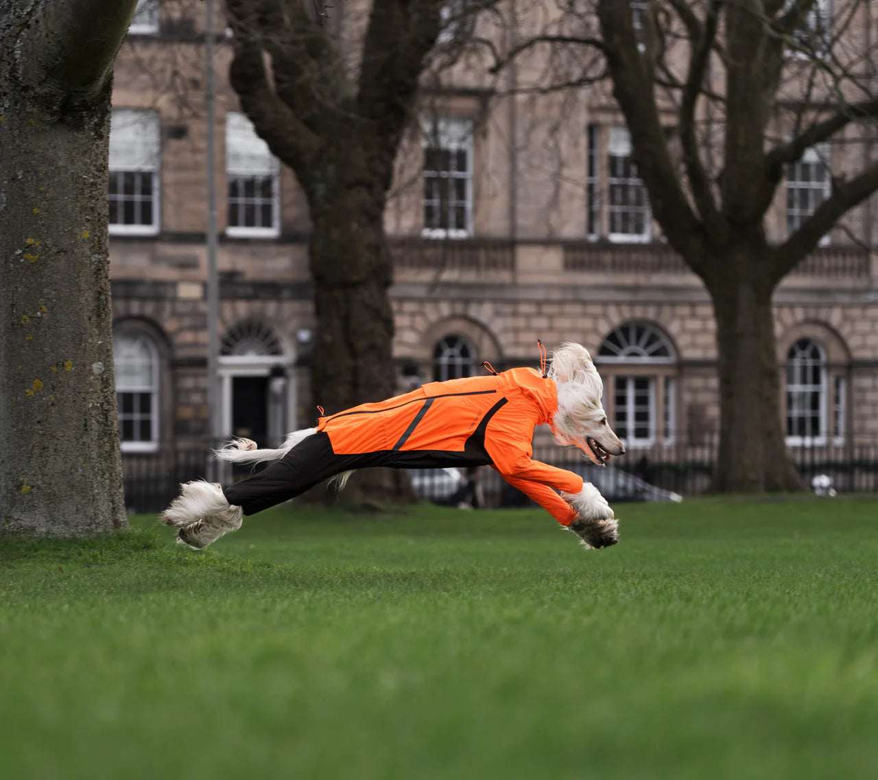 Non-stop Fjord Overall Raincoat - koiran sadehaalari