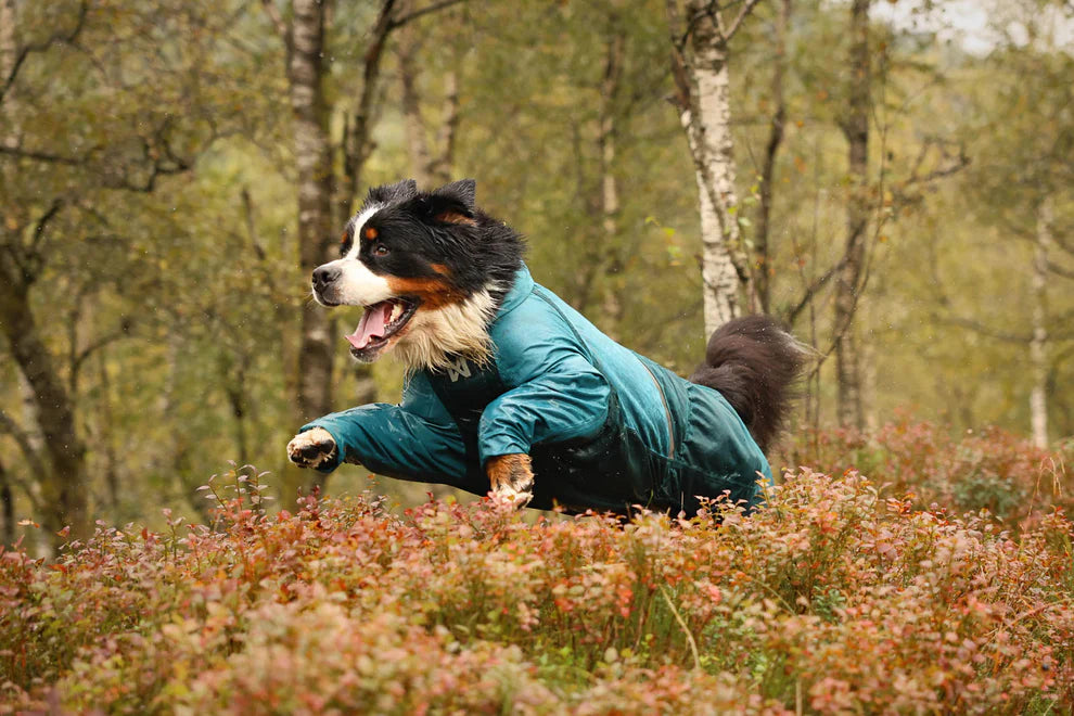 Non-stop Fjord Overall Raincoat - koiran sadehaalari