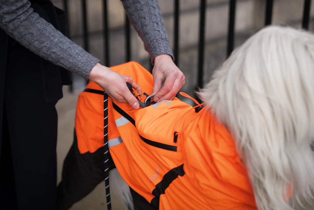 Non-stop Fjord Overall Raincoat - koiran sadehaalari